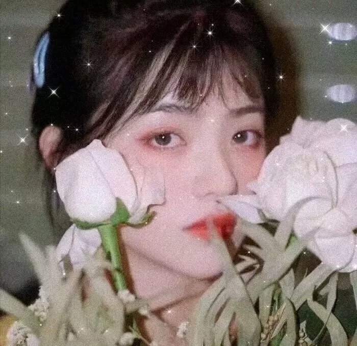 盗影谜情